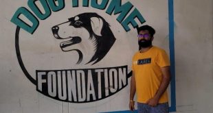 Dog Home Foundation